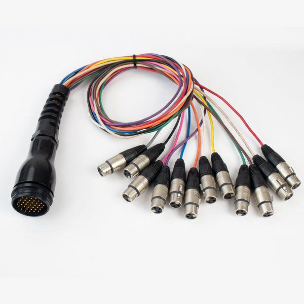 DT12 Fanout Male To 12-Female XLR 3-Pin Plugs