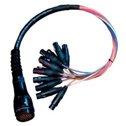 DT12 Fan-Out Female To 12- Male XLR 3-Pin Plugs